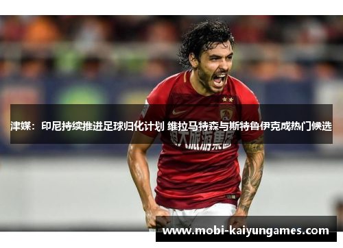 津媒：印尼持续推进足球归化计划 维拉马特森与斯特鲁伊克成热门候选