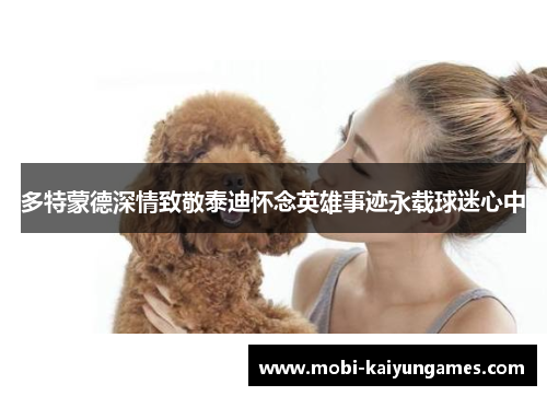多特蒙德深情致敬泰迪怀念英雄事迹永载球迷心中