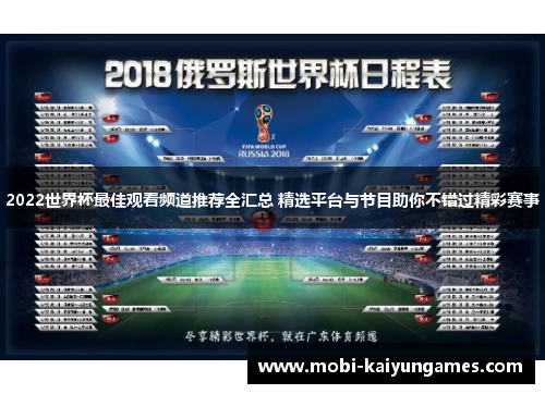 2022世界杯最佳观看频道推荐全汇总 精选平台与节目助你不错过精彩赛事