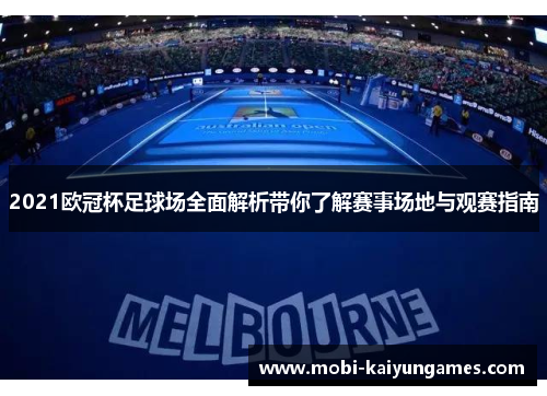 2021欧冠杯足球场全面解析带你了解赛事场地与观赛指南