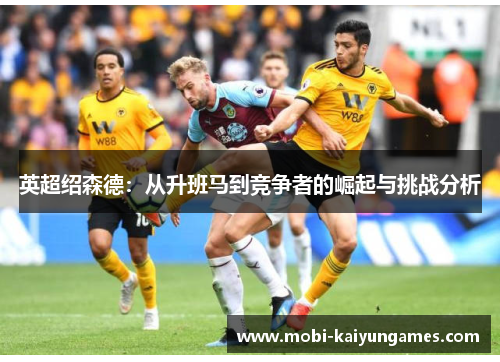 英超绍森德：从升班马到竞争者的崛起与挑战分析