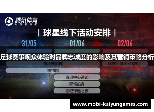 足球赛事观众体验对品牌忠诚度的影响及其营销策略分析
